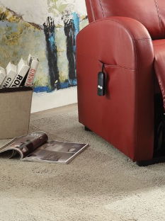 Ricardo - Power Motion Recliner With Lift