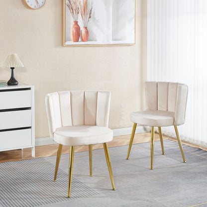 Ergonomic Dining Chair (Set of 2)